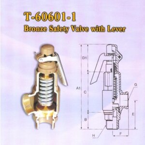 Bronze Safety Valve (T-60601-1)