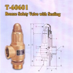 Bronze Safety Valve (T-60601)